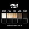 image:imageSlick Gorilla Semi Permanent Hair Dye for Men 338 fl oz  Vegan Hair Color  Cruelty Free Beard and Hair Dye  Conditioning and Nourishing Formula  Lasts 5 6 Washes  Temporary Hair ColorBlack